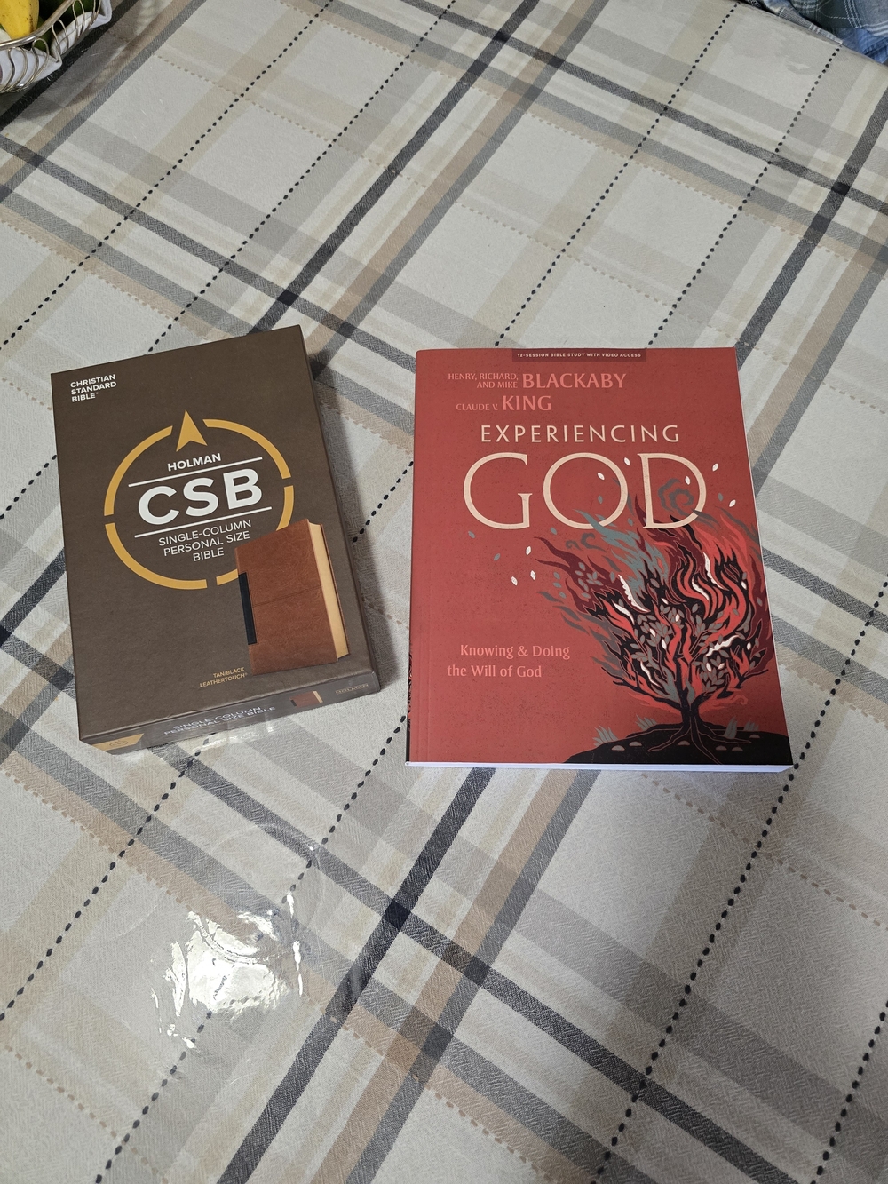 Bible Set, Holman CSB Bible and Blackberry/King Bible Study - Picture 9 of 12